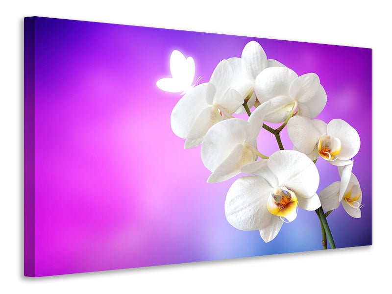 Canvas print Flower Power Orchid