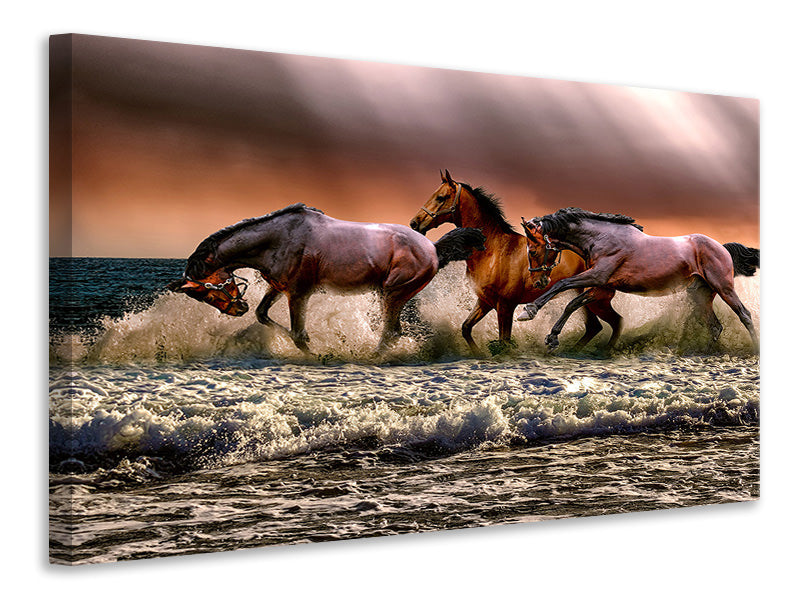 Canvas print Freedom for horses