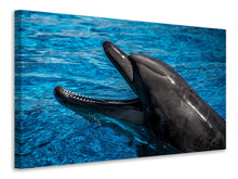 Load image into Gallery viewer, Canvas print Friendly dolphin
