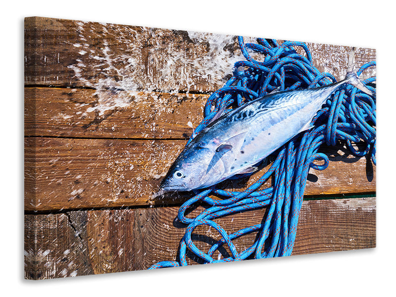 Canvas print Freshly caught fish