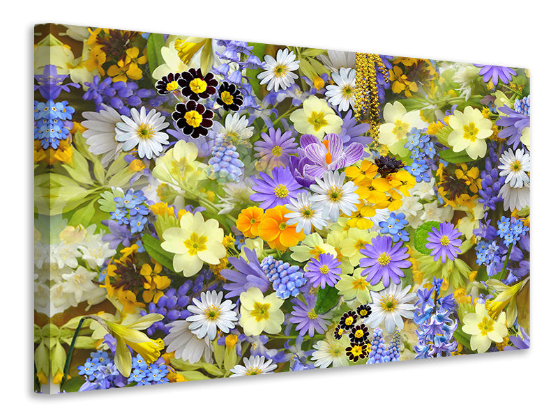 Canvas print Fresh spring flowers