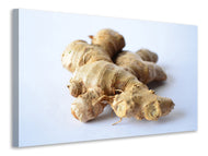 Canvas print Fresh ginger tuber
