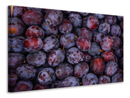 Canvas print Fresh plums