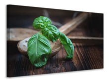 Load image into Gallery viewer, Canvas print Fresh basil XL
