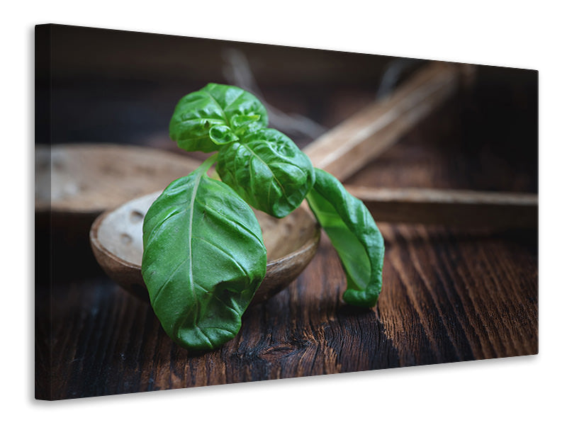 Canvas print Fresh basil XL