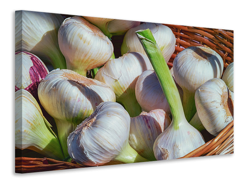 Canvas print Fresh garlic