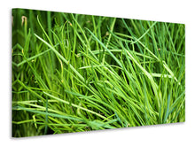 Load image into Gallery viewer, Canvas print Fresh chives XL

