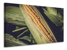 Load image into Gallery viewer, Canvas print Fresh sweetcorn
