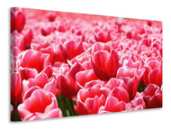 Canvas print Happy tulip field