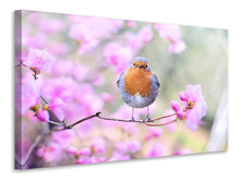 Load image into Gallery viewer, Canvas print Spring bird
