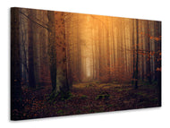 Canvas print Mysterious forest