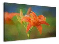 Canvas print Painting of a lily