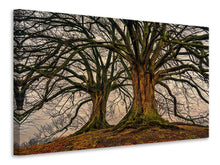 Load image into Gallery viewer, Canvas print Ghostly trees
