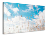 Canvas print Blades of grass in the sky