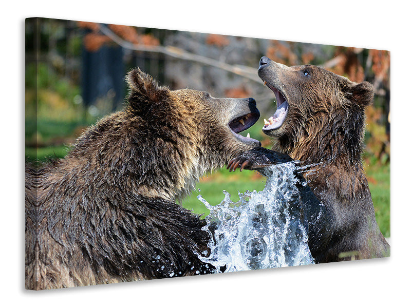 Canvas print Grizzly fight