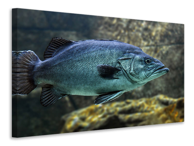 Canvas print Big fish