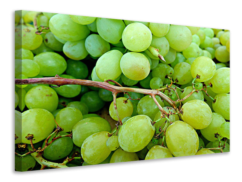 Canvas print Green grapes