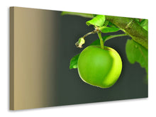Load image into Gallery viewer, Canvas print Green apple
