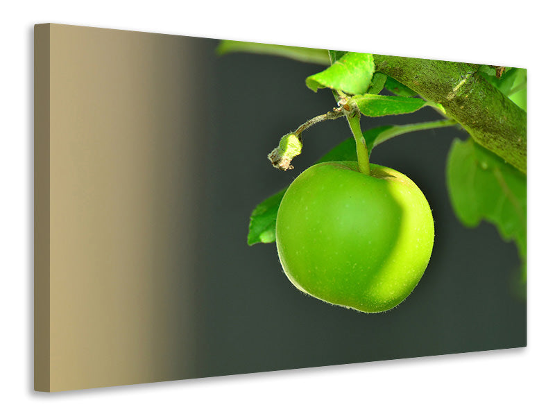 Canvas print Green apple