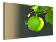 Canvas print Green apple