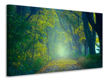 Load image into Gallery viewer, Canvas print Green Forest
