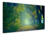 Canvas print Green Forest