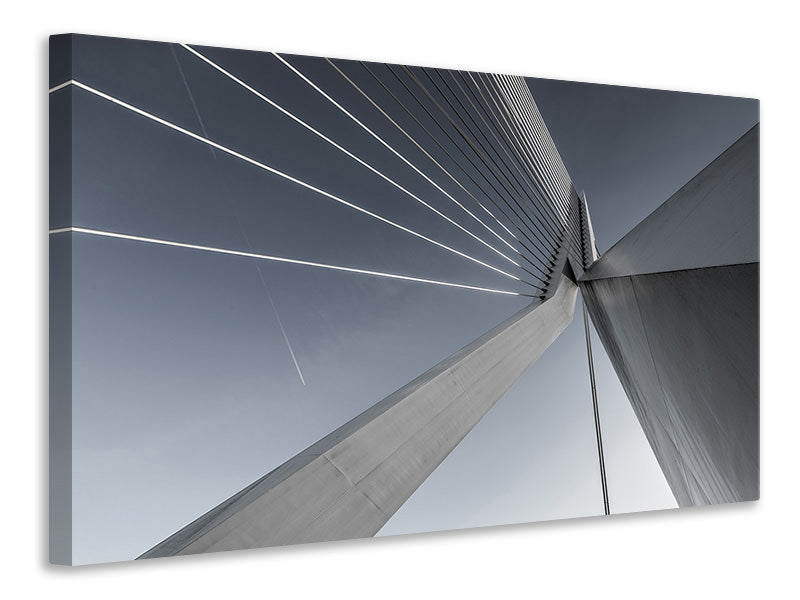 Canvas print Suspension bridge Close up