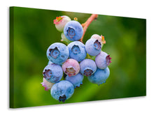 Load image into Gallery viewer, Canvas print Blueberries in nature
