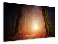 Canvas print Autumn in the woods