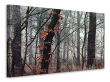 Load image into Gallery viewer, Canvas print autumn winter
