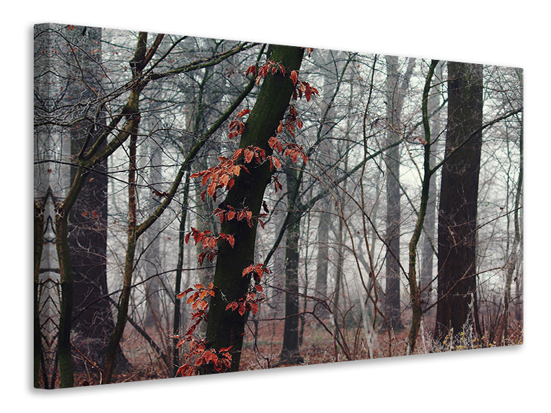 Canvas print autumn winter