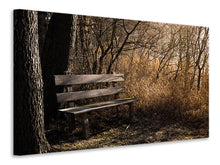 Load image into Gallery viewer, Canvas print Wooden bench in the forest
