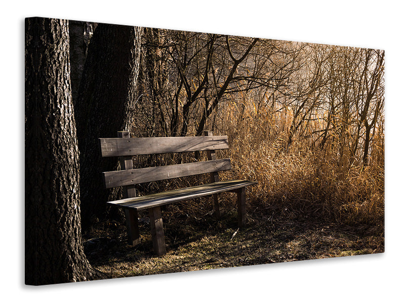 Canvas print Wooden bench in the forest