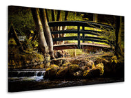 Canvas print Wooden bridge in the forest