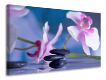 Load image into Gallery viewer, Canvas print Hot Stones
