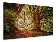Canvas print In the dense forest