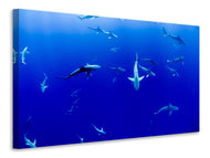 Canvas print In the shark tank