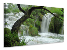 Load image into Gallery viewer, Canvas print In the national park
