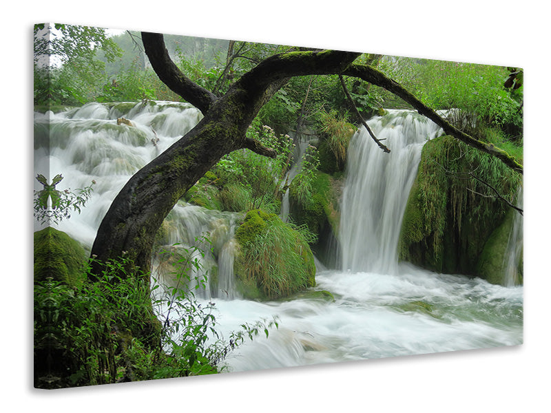 Canvas print In the national park