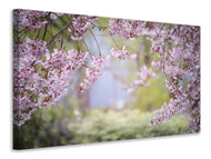 Canvas print In the beautiful spring
