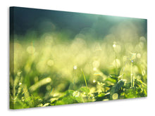 Load image into Gallery viewer, Canvas print In the meadow
