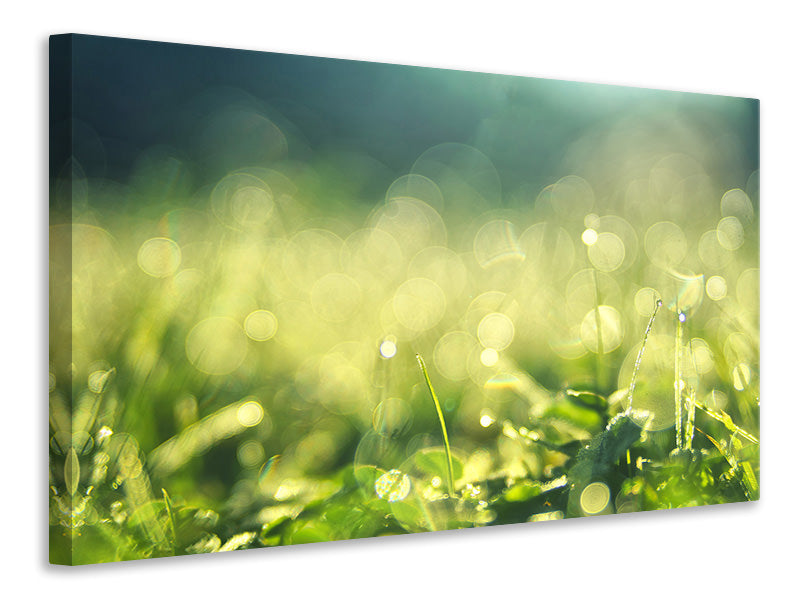 Canvas print In the meadow