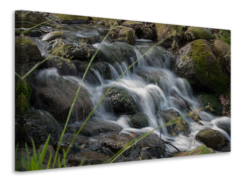 Canvas print Inspiration waterfall