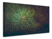 Load image into Gallery viewer, Canvas print Pine tree close up
