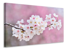 Load image into Gallery viewer, Canvas print Cherry Blossoms XXL
