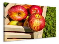 Canvas print Box of apples