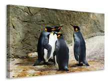 Load image into Gallery viewer, Canvas print King penguins
