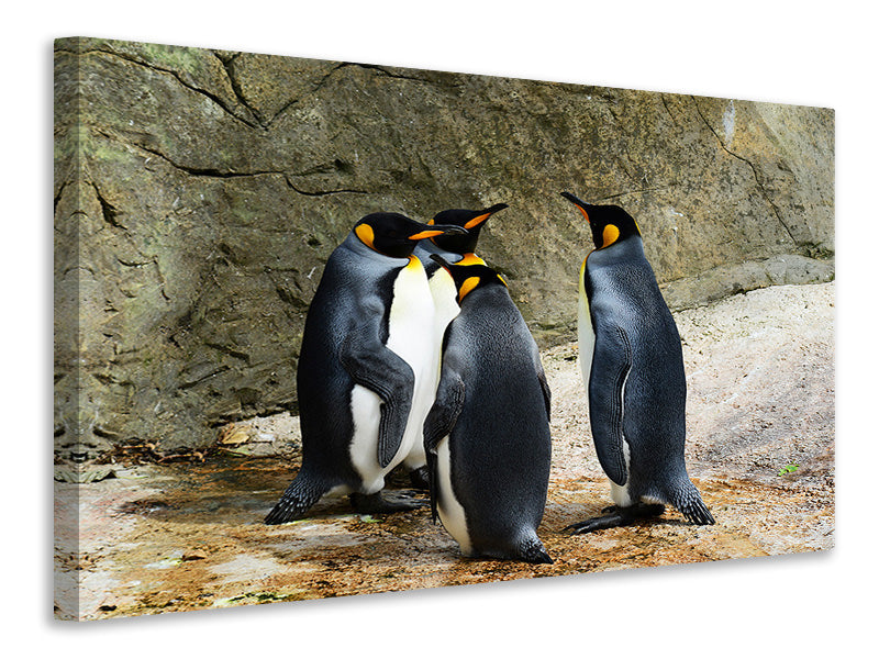 Canvas print King penguins