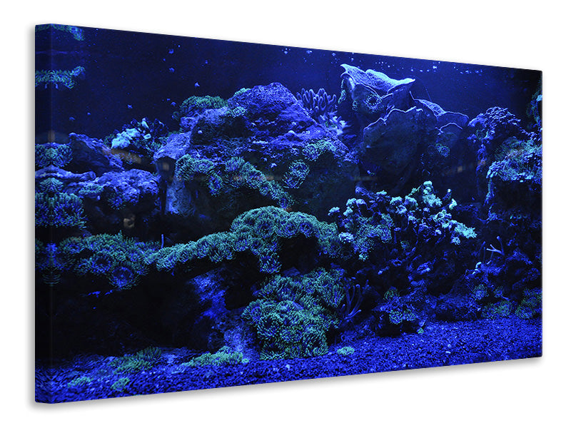 Canvas print Coral reef in blue