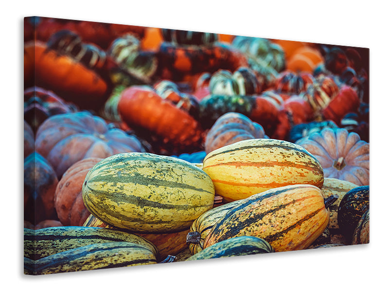 Canvas print Pumpkin types